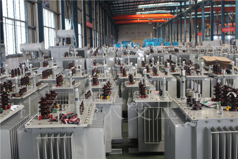 泾川S22-800KVA/10KV